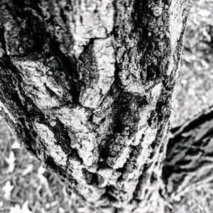 Meet your Posher, Cedric